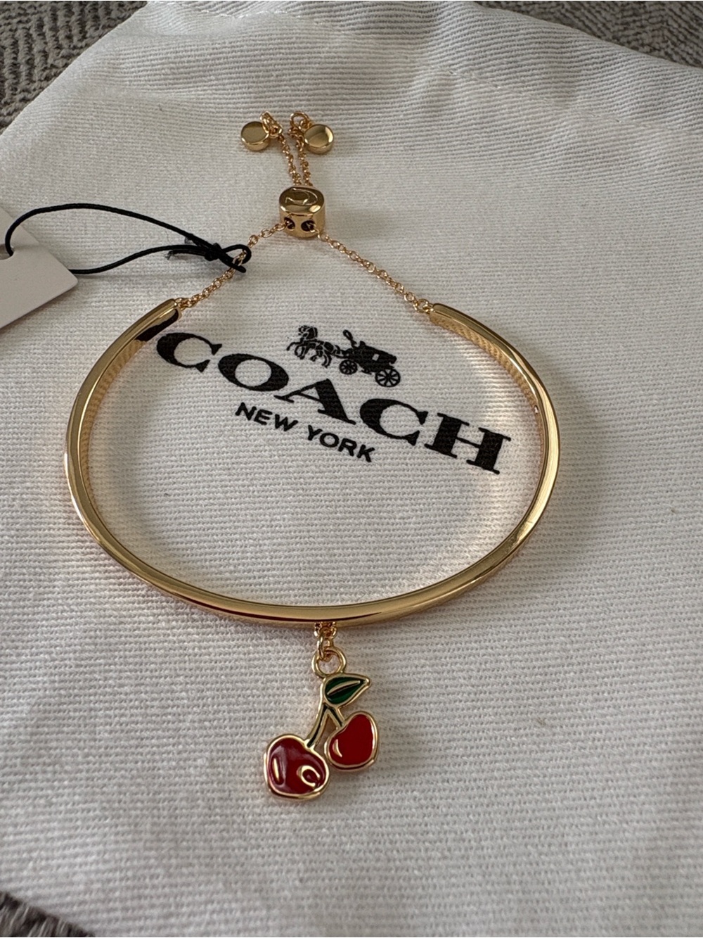 Coach Cherry Bracelet - Picture 3 of 12